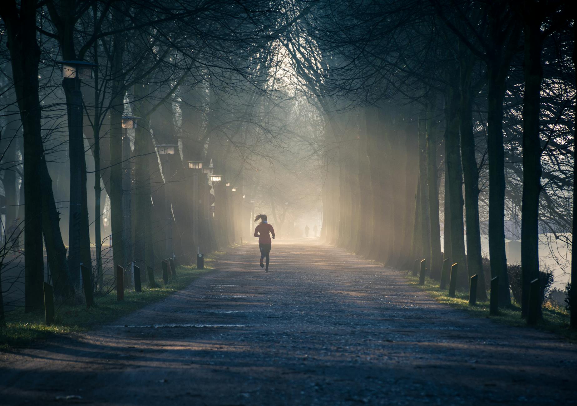 Scenic image of Top 10 Things to Do in Leipzig